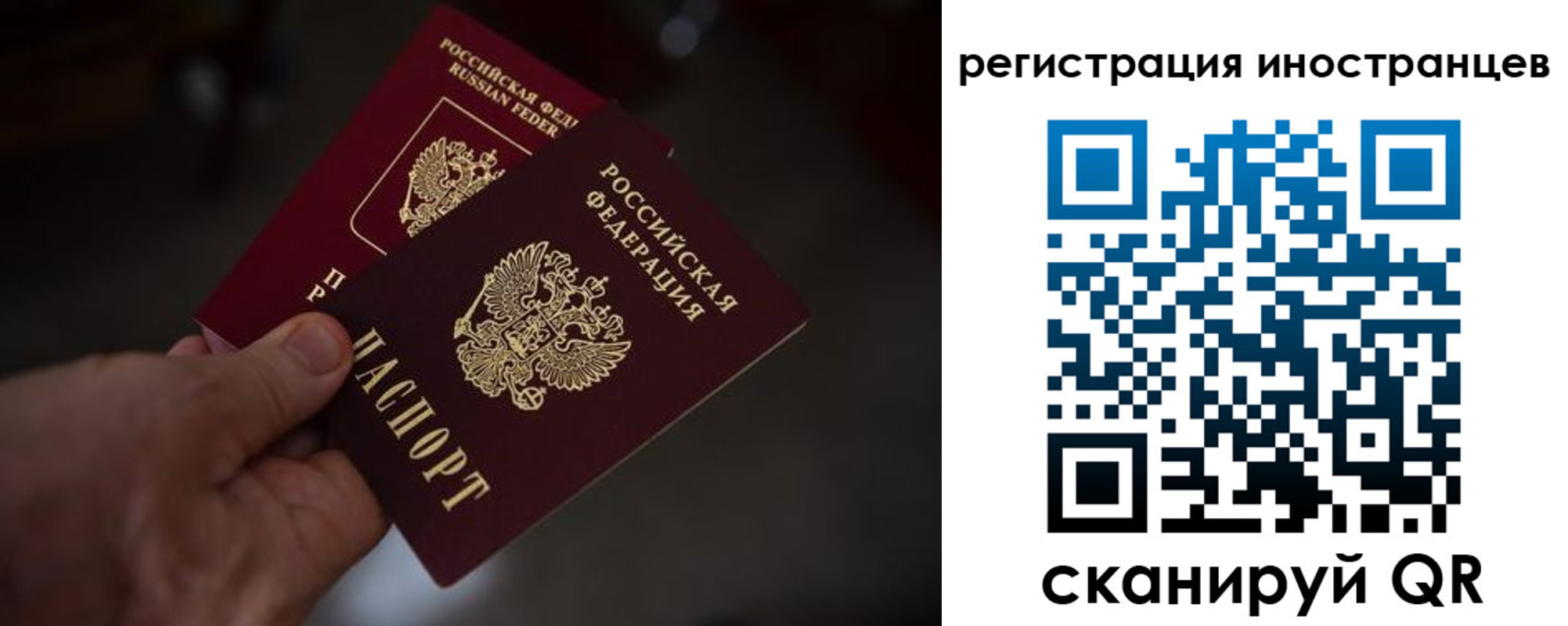 временная регистрация 2025 в Россоши
